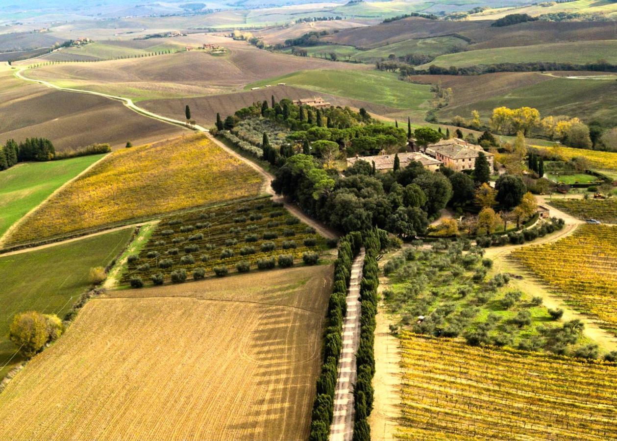 Villa Buonsignori - Wine & Olive Oil Farm Corsano  المظهر الخارجي الصورة