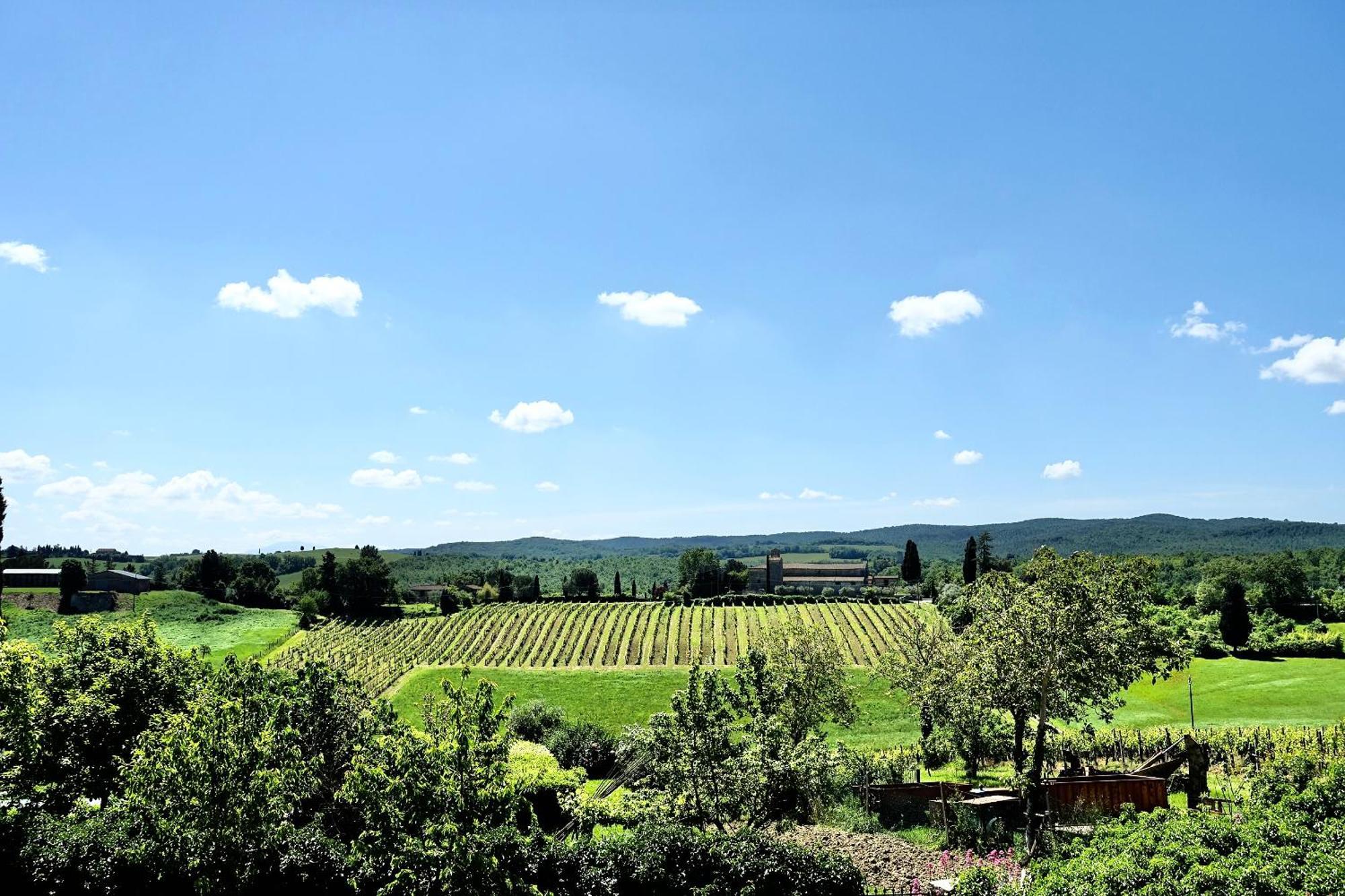 Villa Buonsignori - Wine & Olive Oil Farm Corsano  المظهر الخارجي الصورة